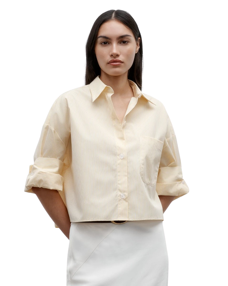 Next Ex Shirt in Cotton Banker Stripe