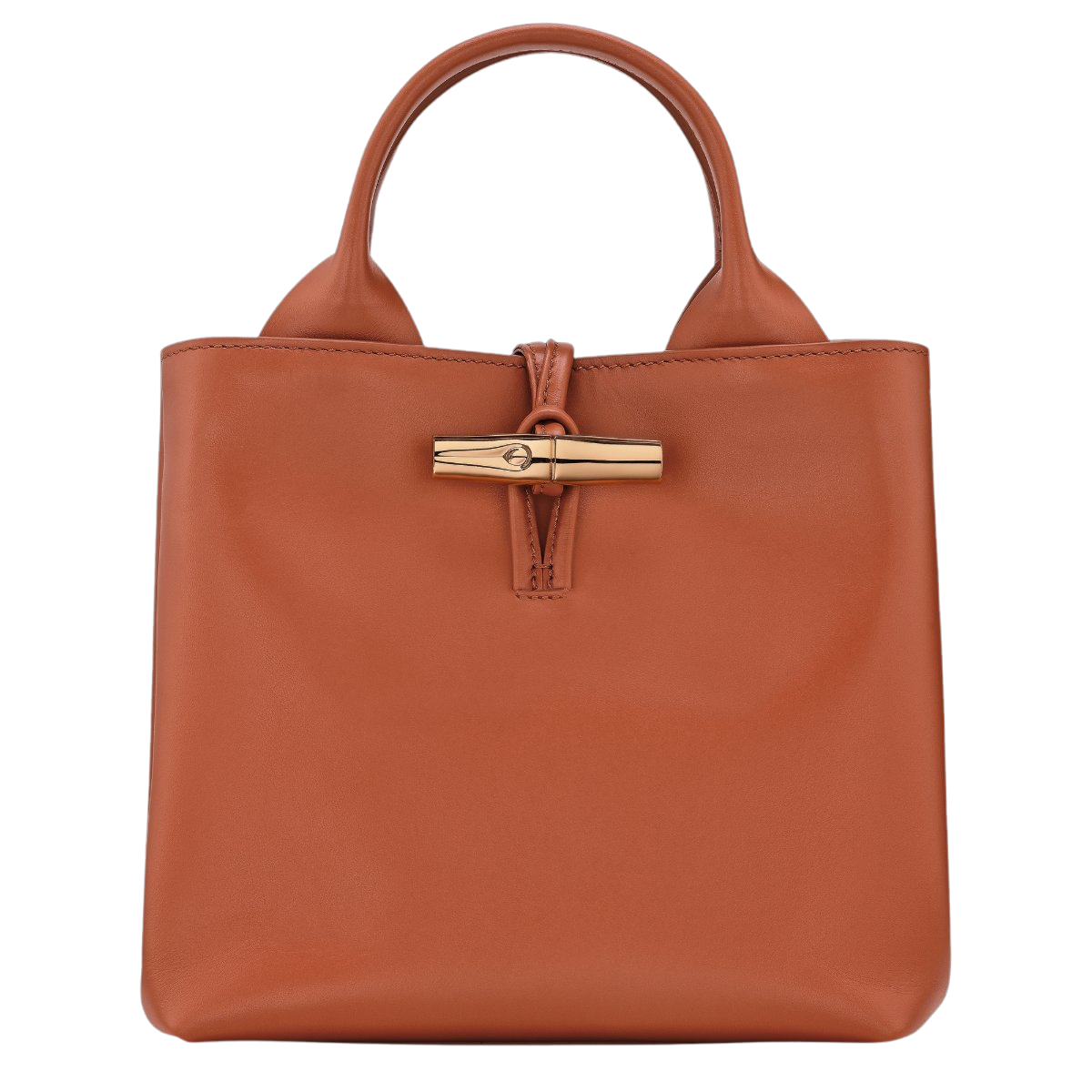 Top Handle Bags