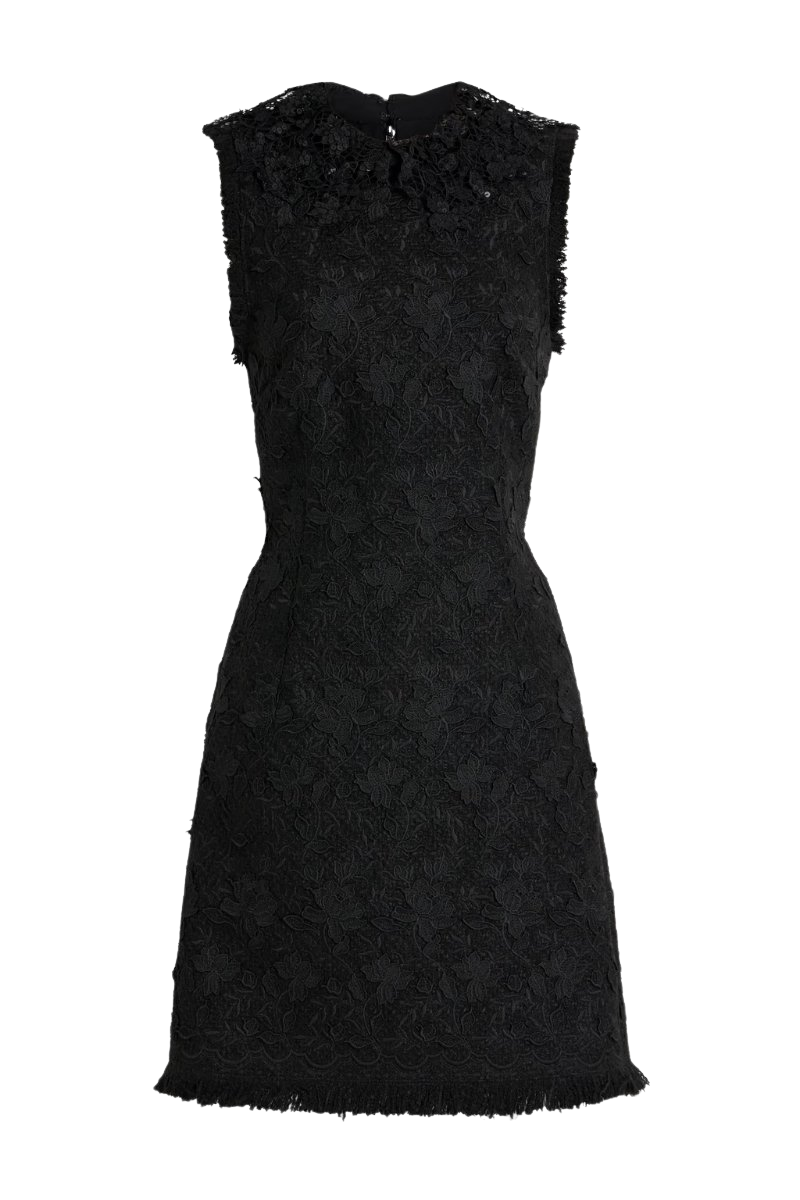 Embellished guipure lace mini dress