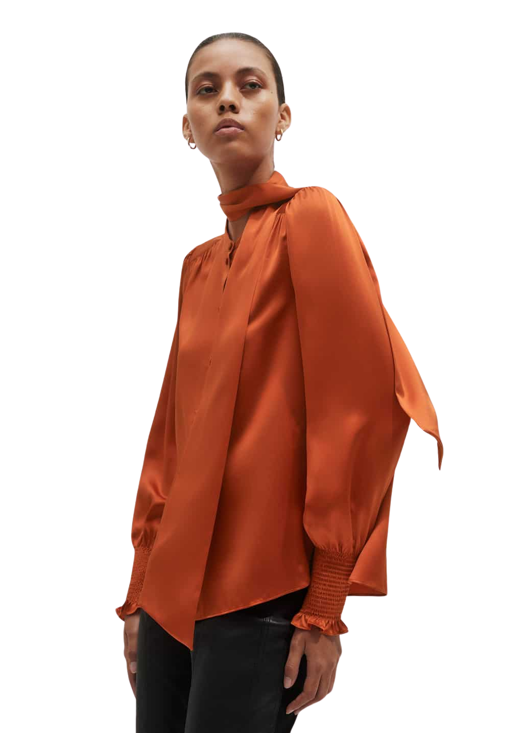 Straight Blouse + Tie