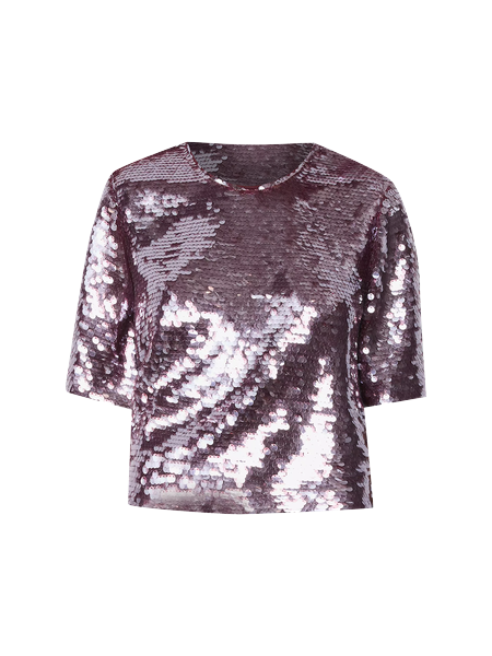 Sequin Crew Neck Blouse
