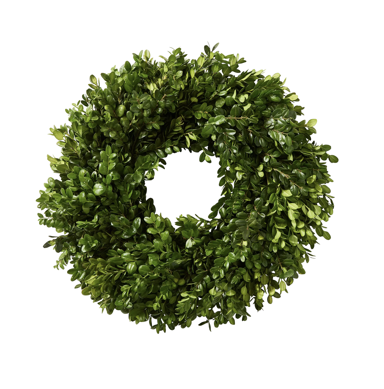 Fresh Boxwood Wreath