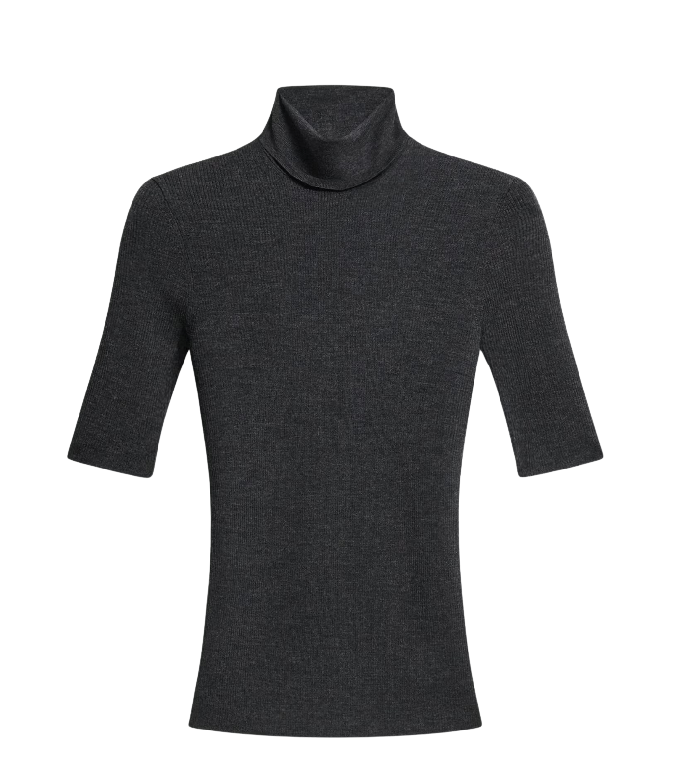 Leenda Short-Sleeve Turtleneck in Regal Wool