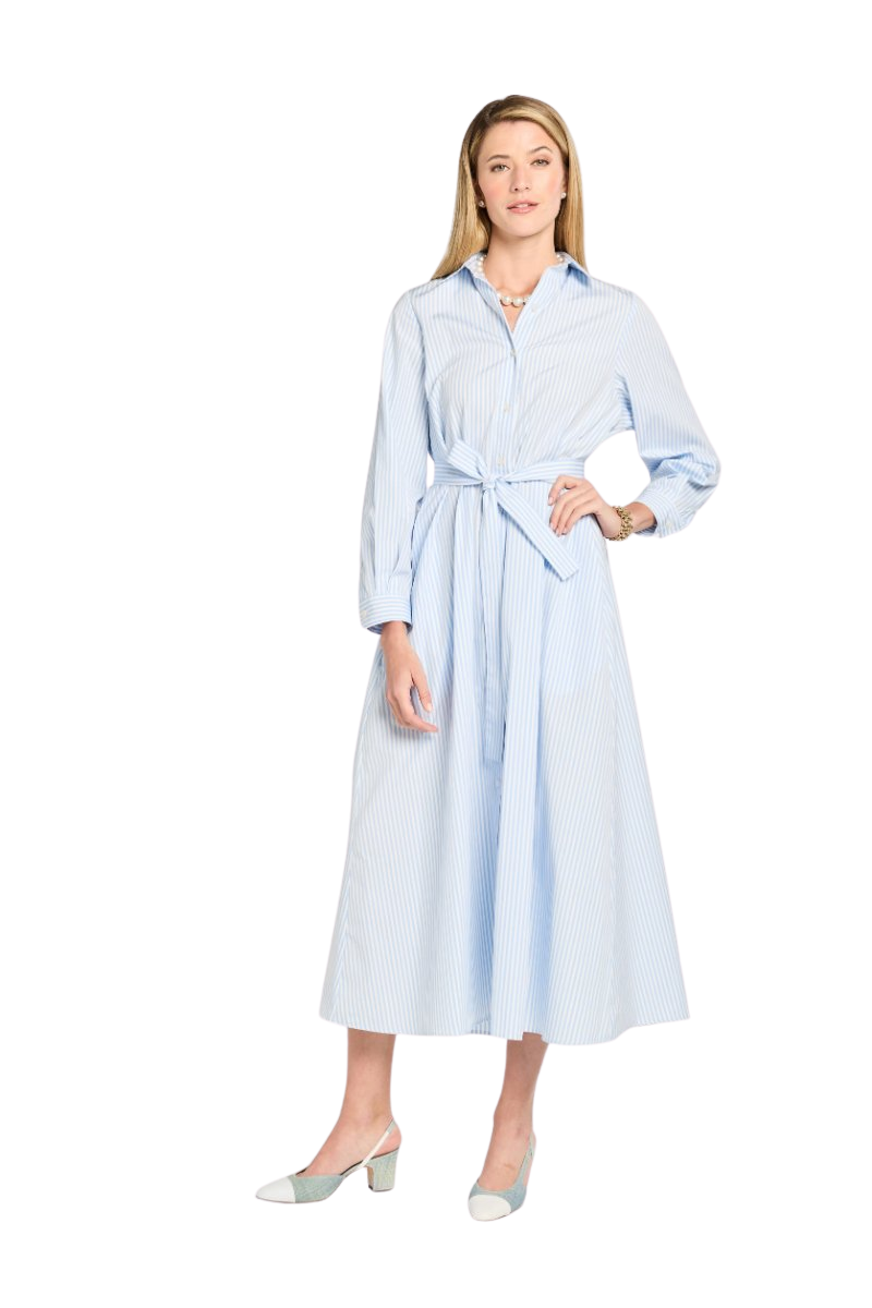 Eleanor Shirt Dress