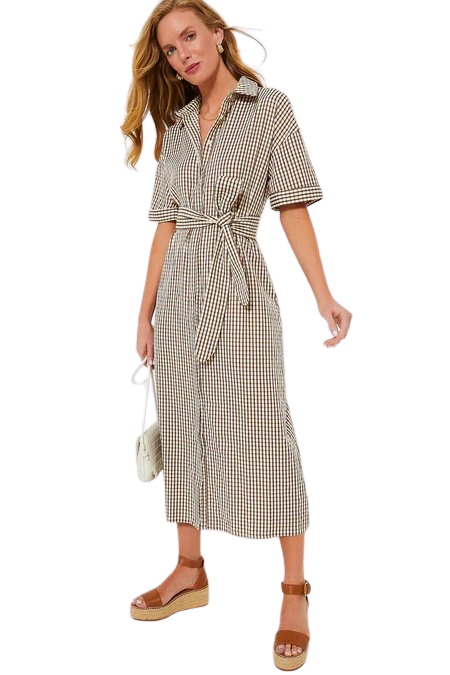Brown Gingham Seersucker Zacara Dress