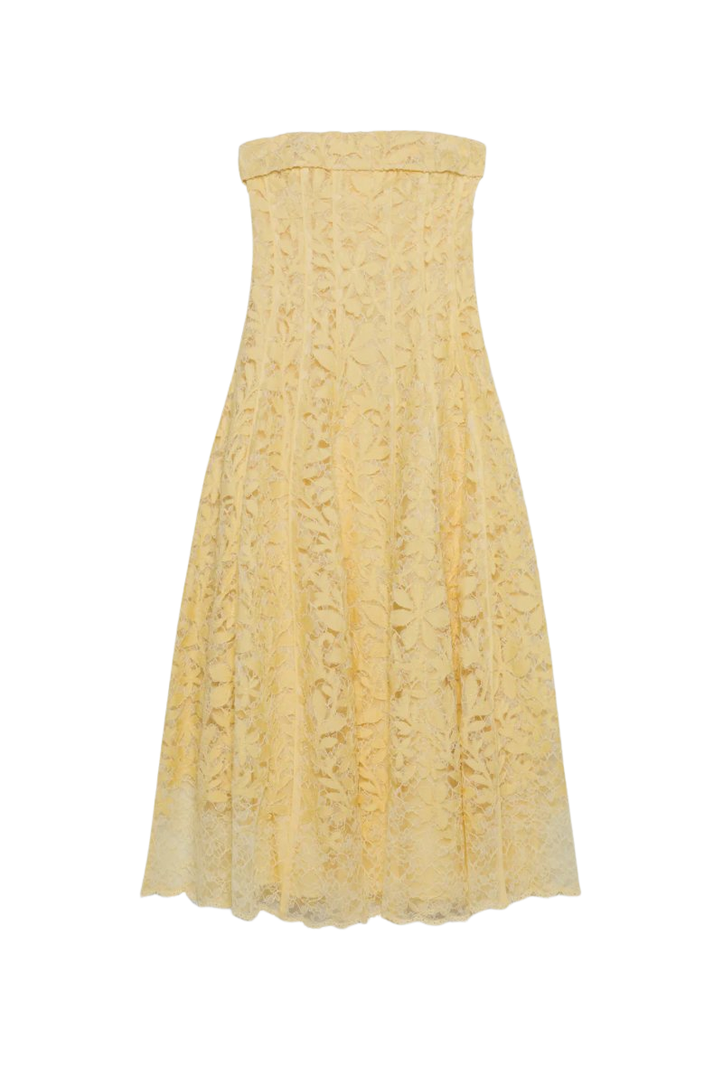 Imogen Lace Bustier Midi Dress