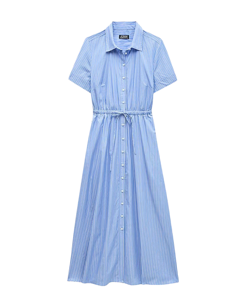 Elena shirt-dress in crepe de chine