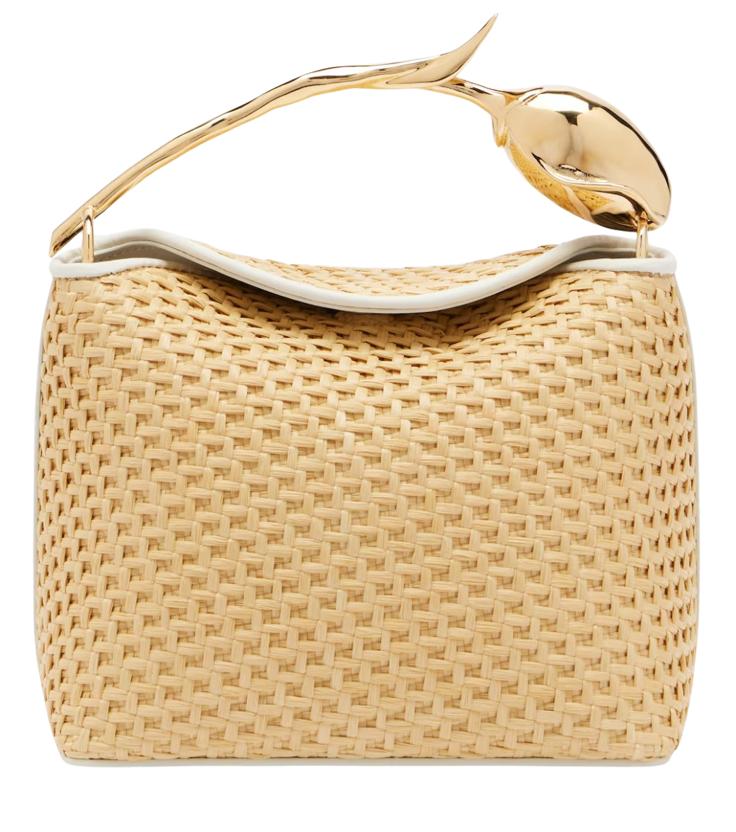 Top Handle Bags