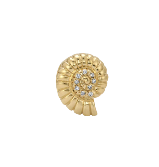 Groovy Diamond Seashell Big Bead