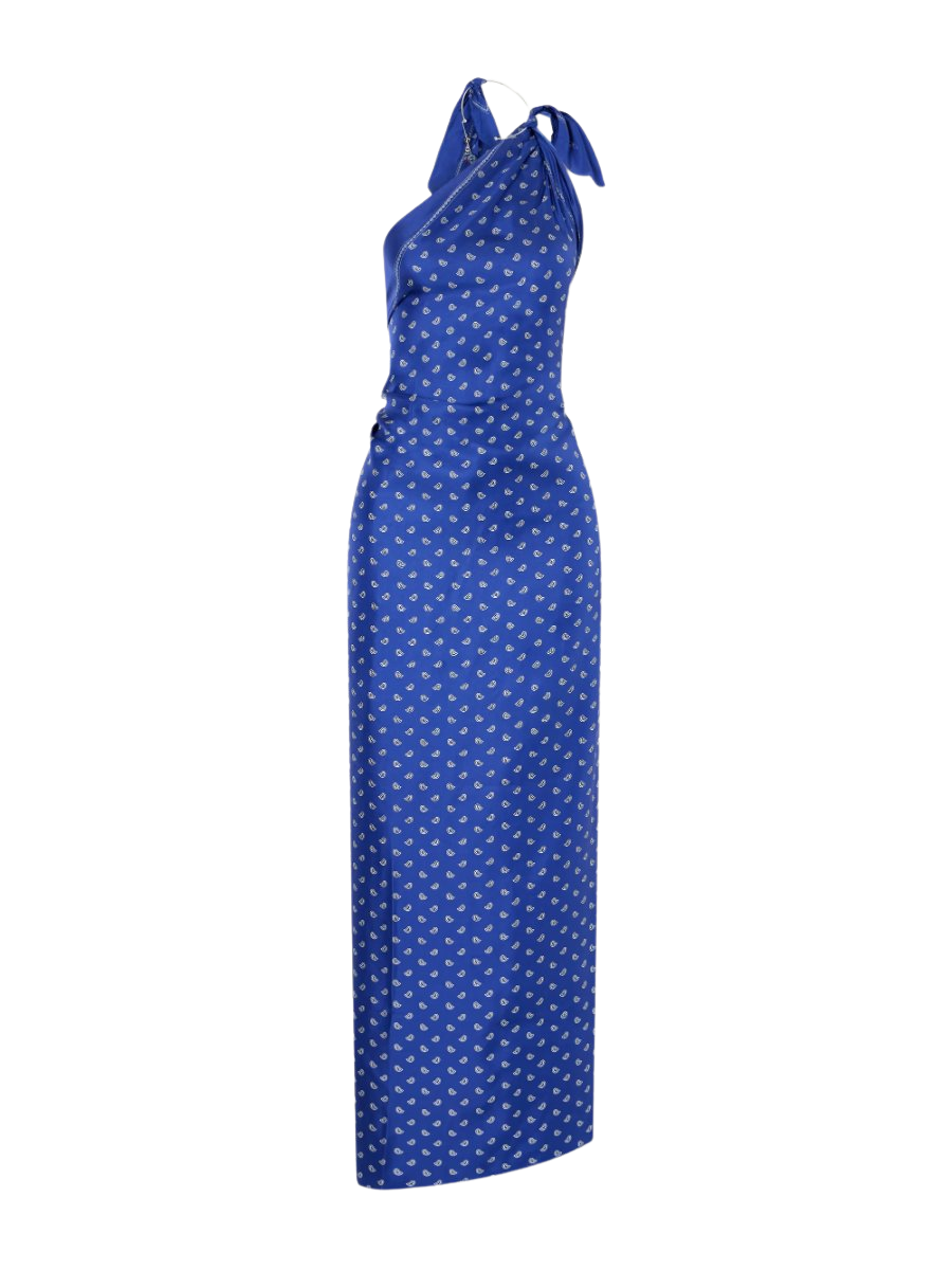 Bandana printed silk twill maxi dress