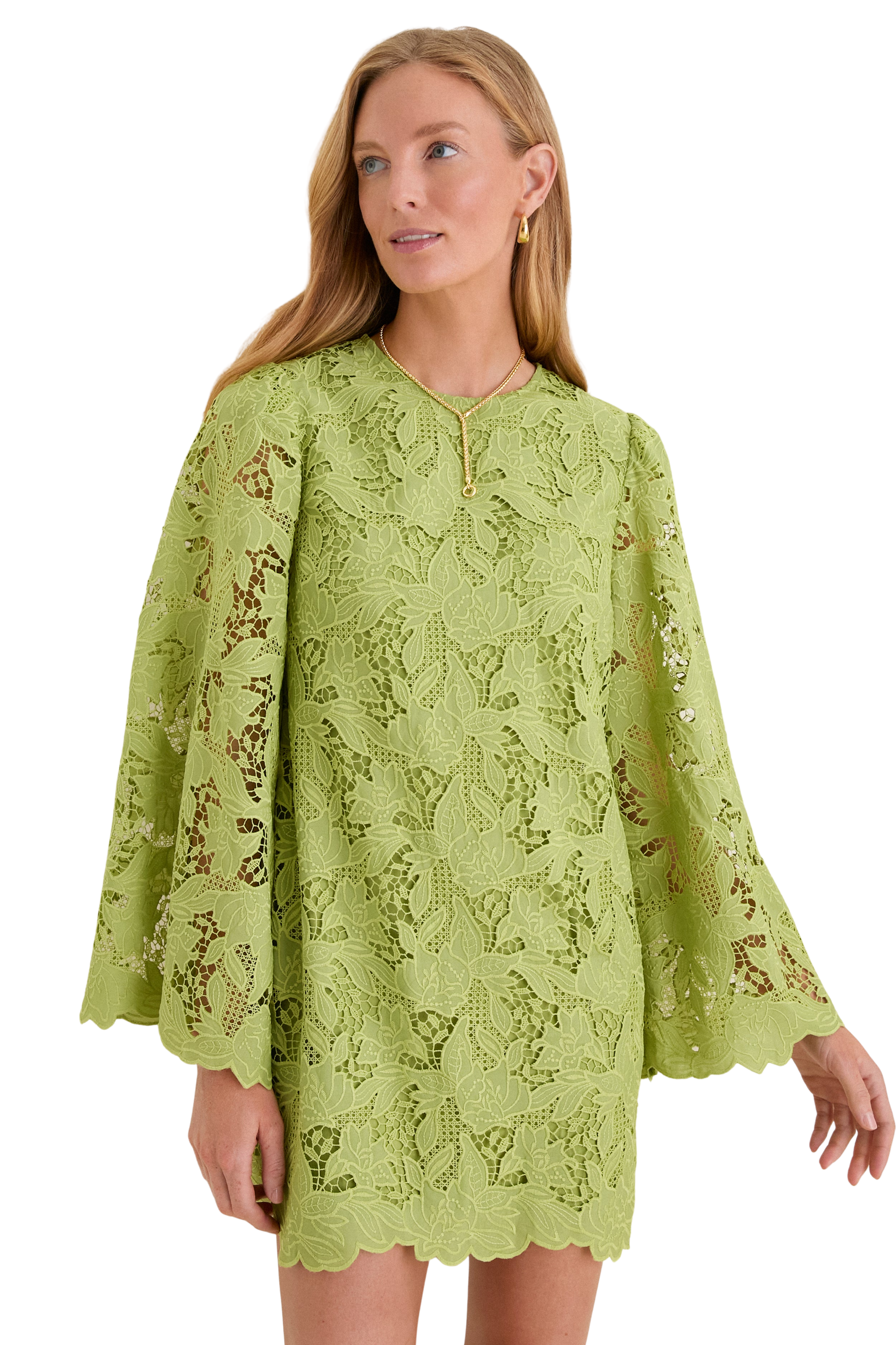 Olive Lace Livvy Mini Dress