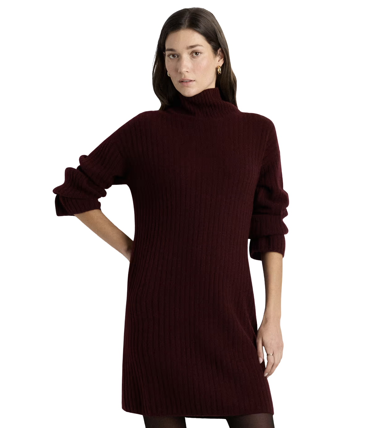 Mongolian Cashmere Ribbed Turtleneck Mini Dress