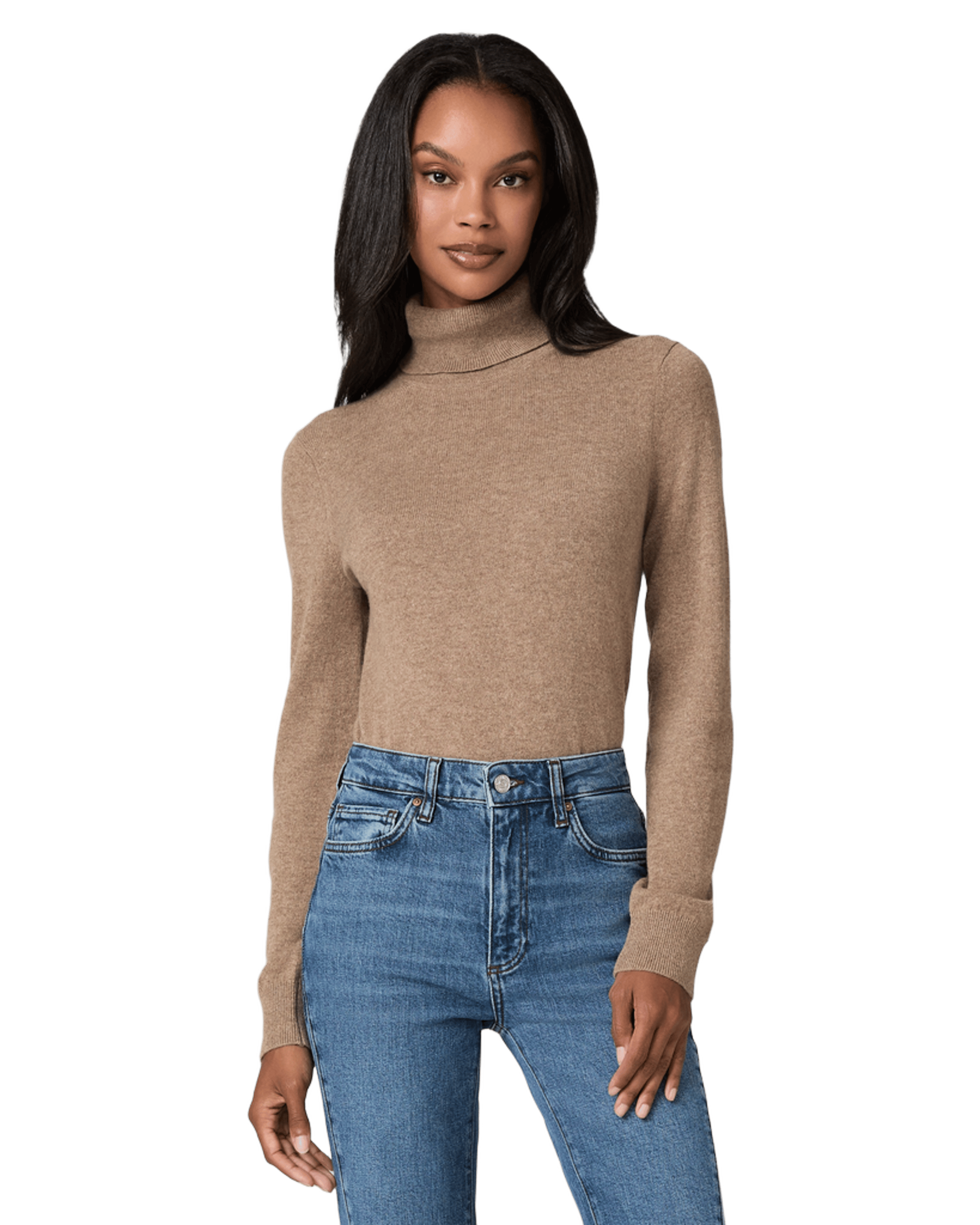 Jacie Turtleneck Sweater