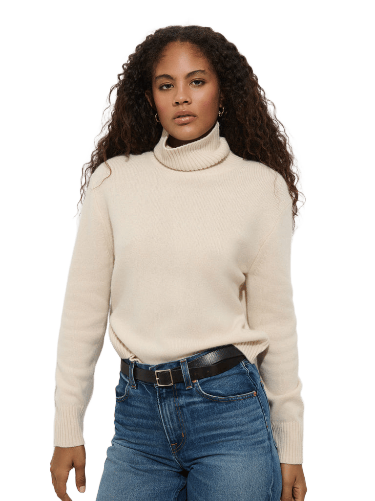 Blair Turtleneck Sweater in Washed Cashmere